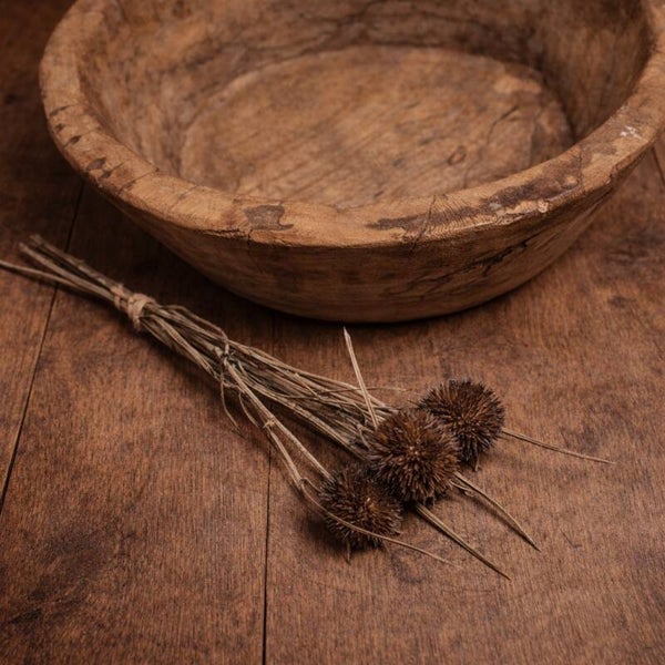 Artificial Thistle Pods | Newborn Photography Styling Prop