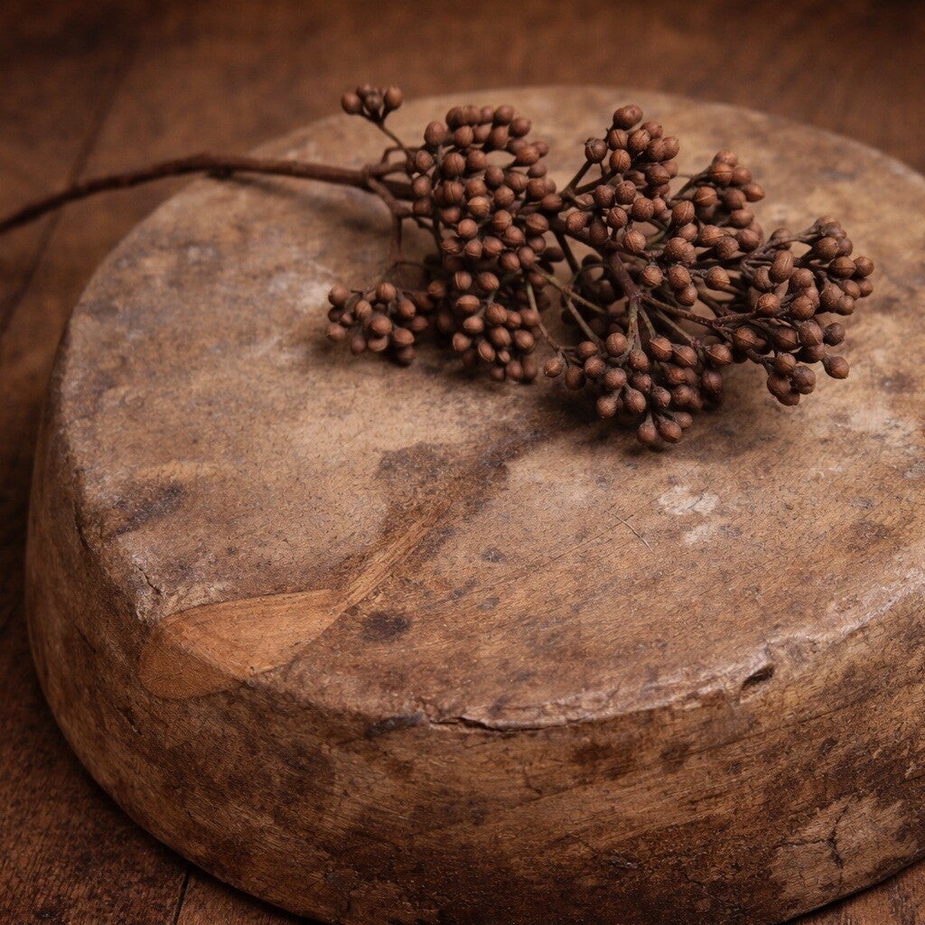 Rust Berry Branch | Newborn Photography Styling Prop