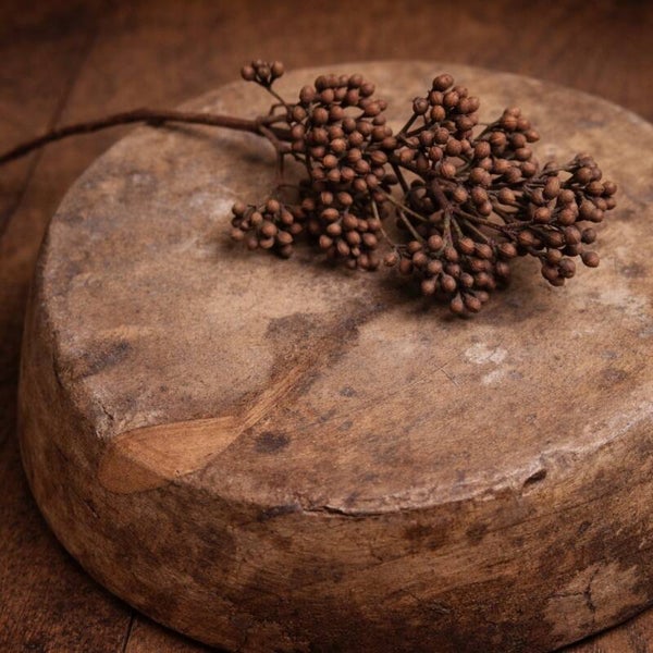 Rust Berry Branch | Newborn Photography Styling Prop