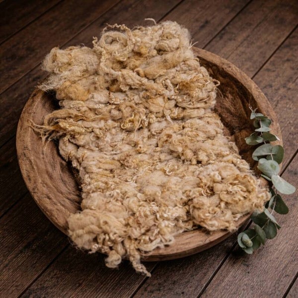 Hand Dyed Wensleydale Lock Blanket – Newborn Photography Prop