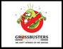 Grossbusters Cleaning Services