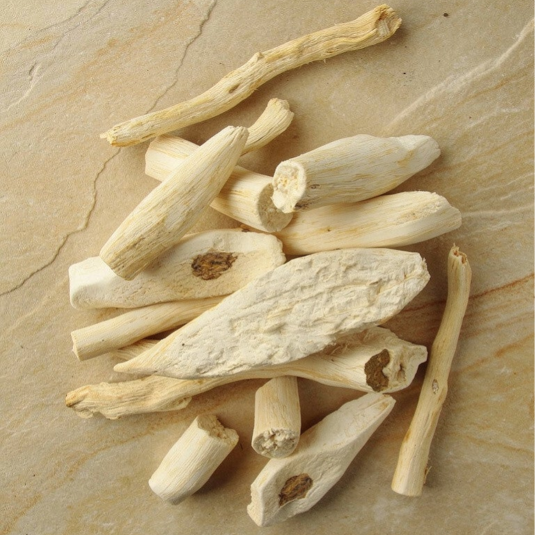 Uvuma Omhlope – Radice in polvere