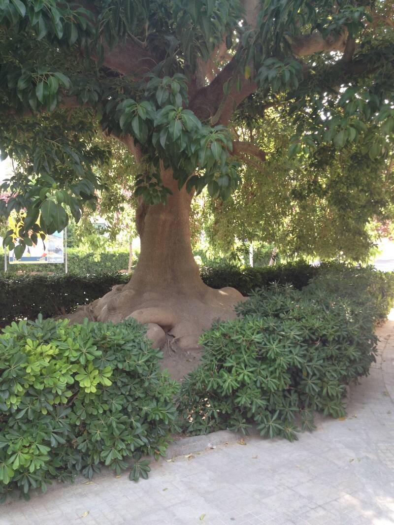 Wilma de Krom in Puglia