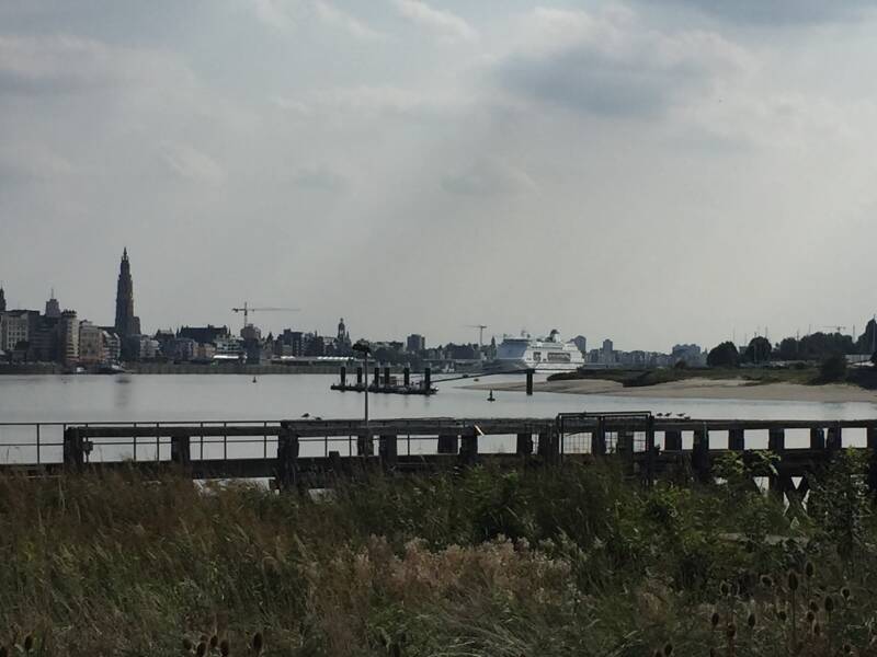 Wilma de krom in Antwerpen