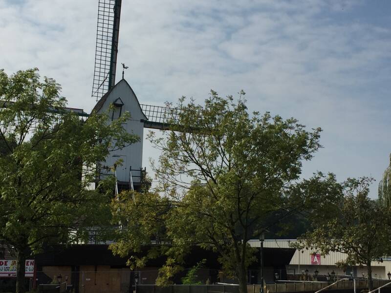 Wilma de krom in Antwerpen