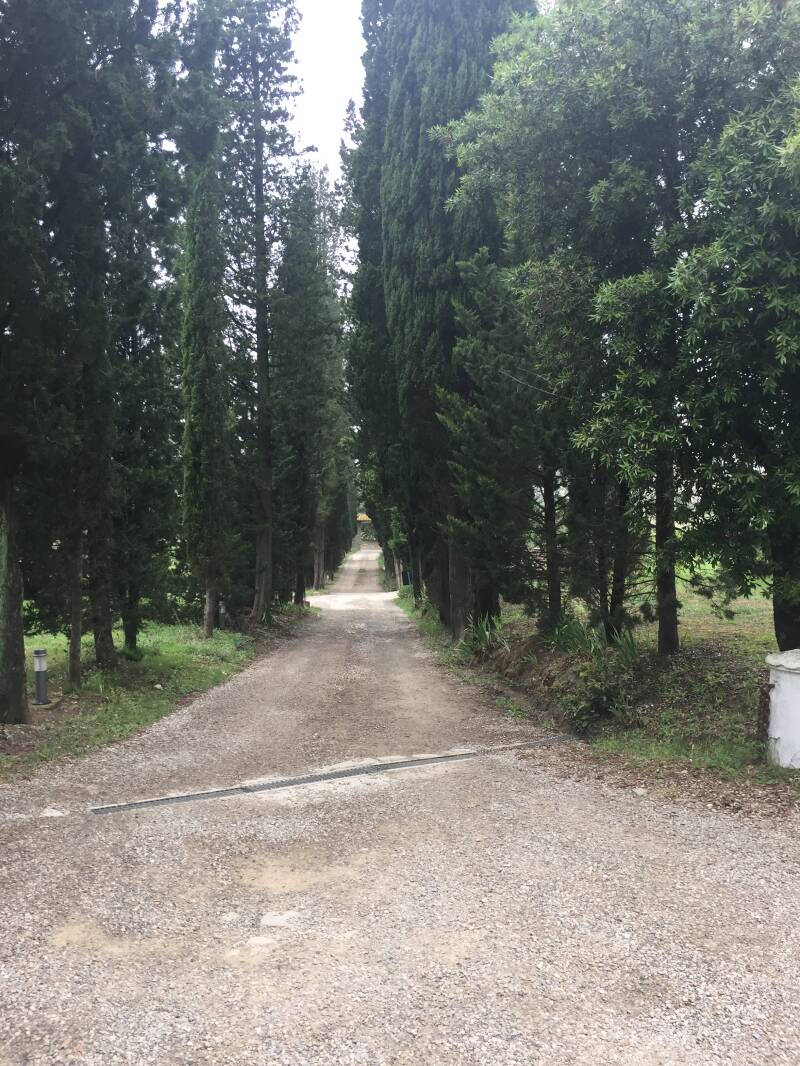 Wilma de krom in Toscane