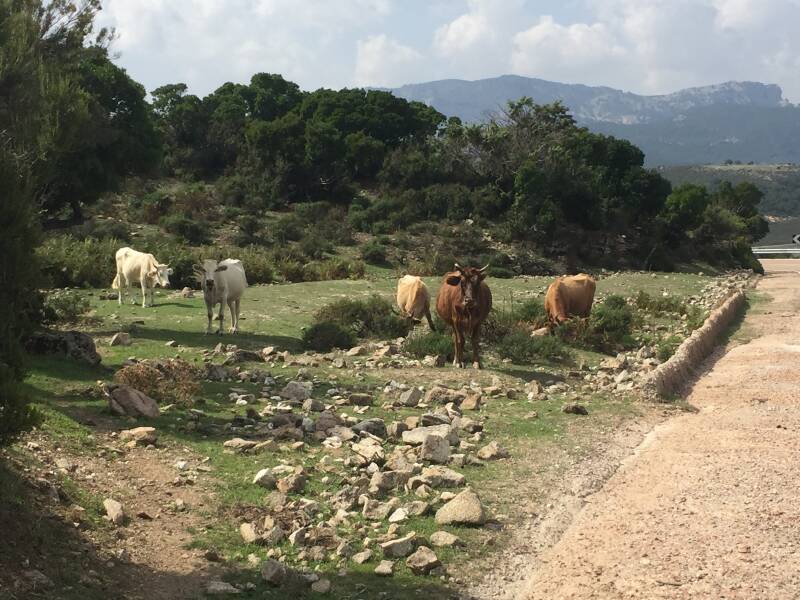 Wilma de Krom op Sardinie