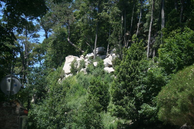 Wilma de Krom in Portugal