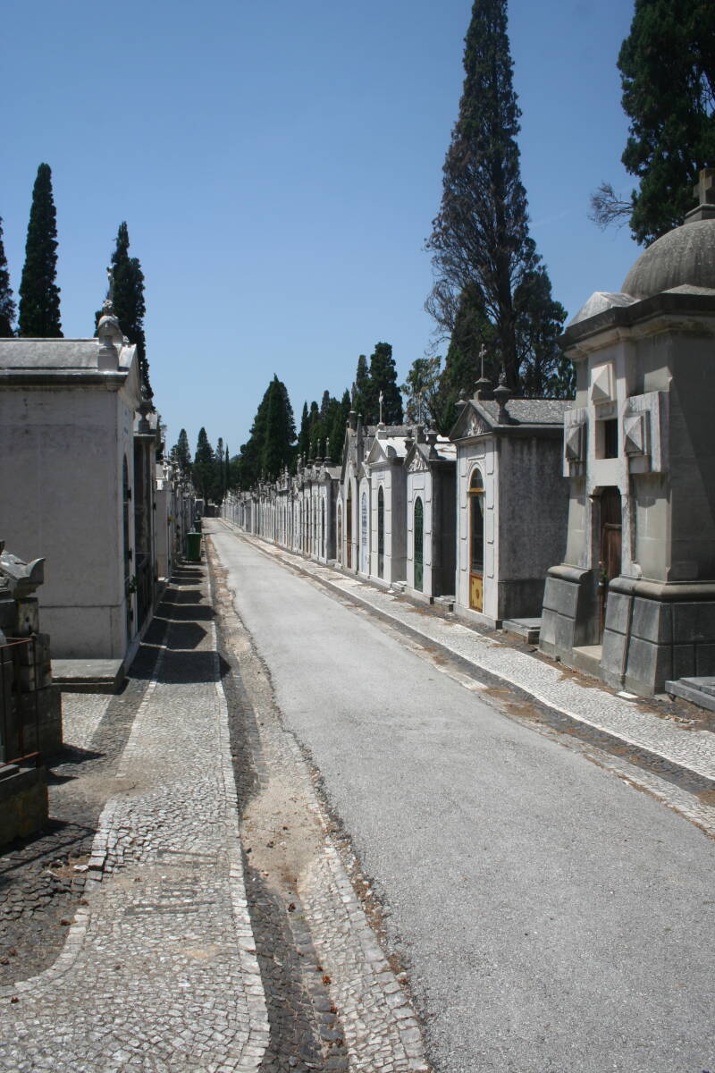 Wilma de Krom in Portugal