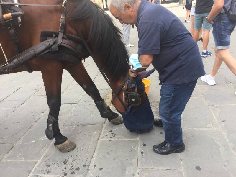 Wilma de Krom in Italie