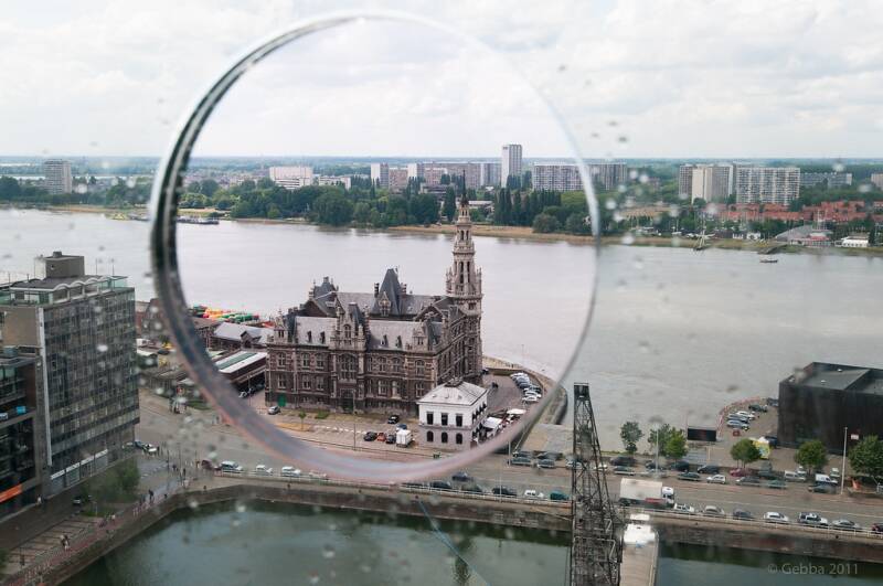 Wilma de krom in Antwerpen