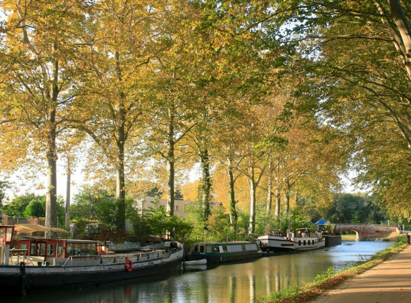Wilma de Krom in Frankrijk