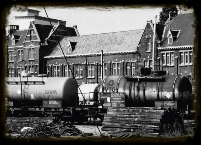Wilma de krom in Antwerpen