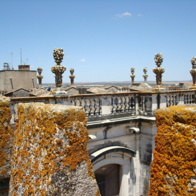 Wilma de Krom in Portugal