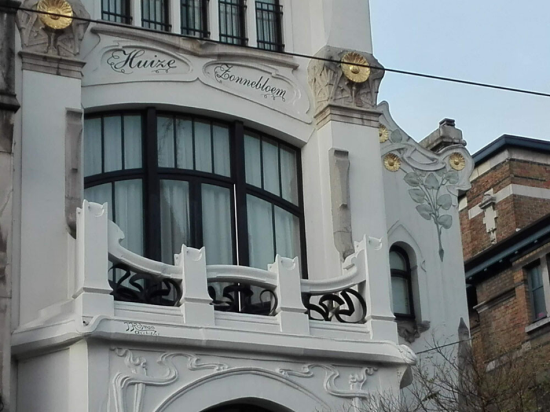 Wilma de krom in Antwerpen