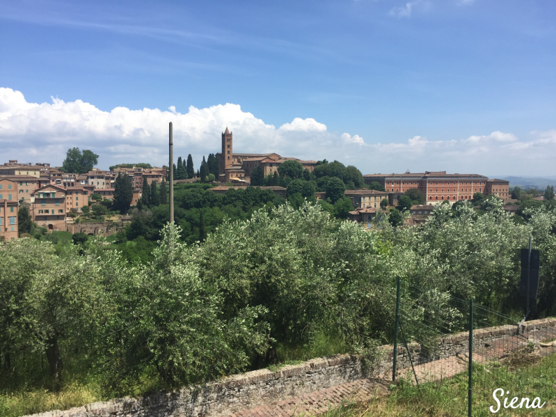 Wilma de krom in Toscane