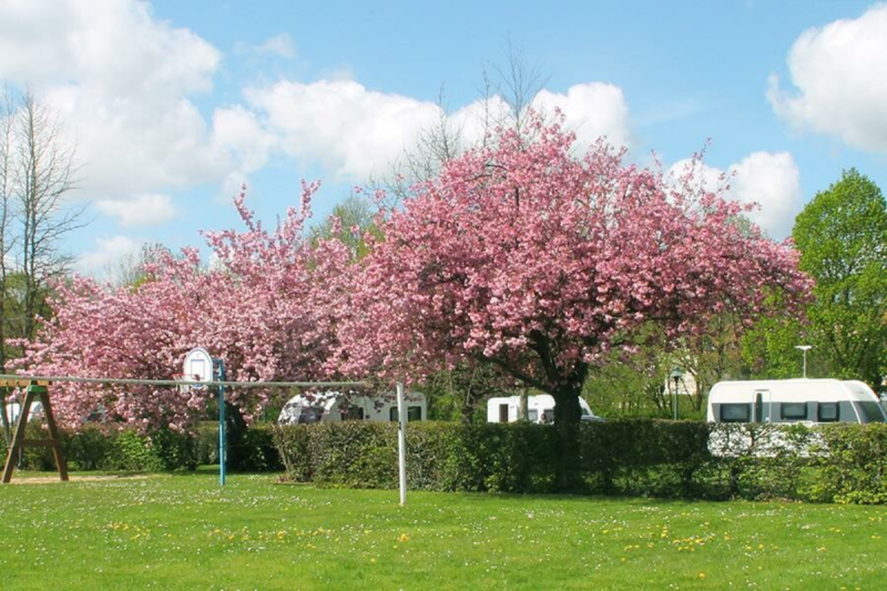 Wilma de Krom in Frankrijk