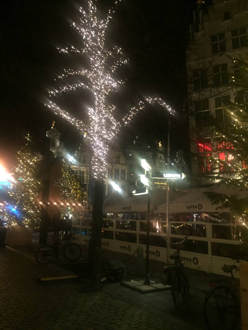Wilma de krom in Antwerpen
