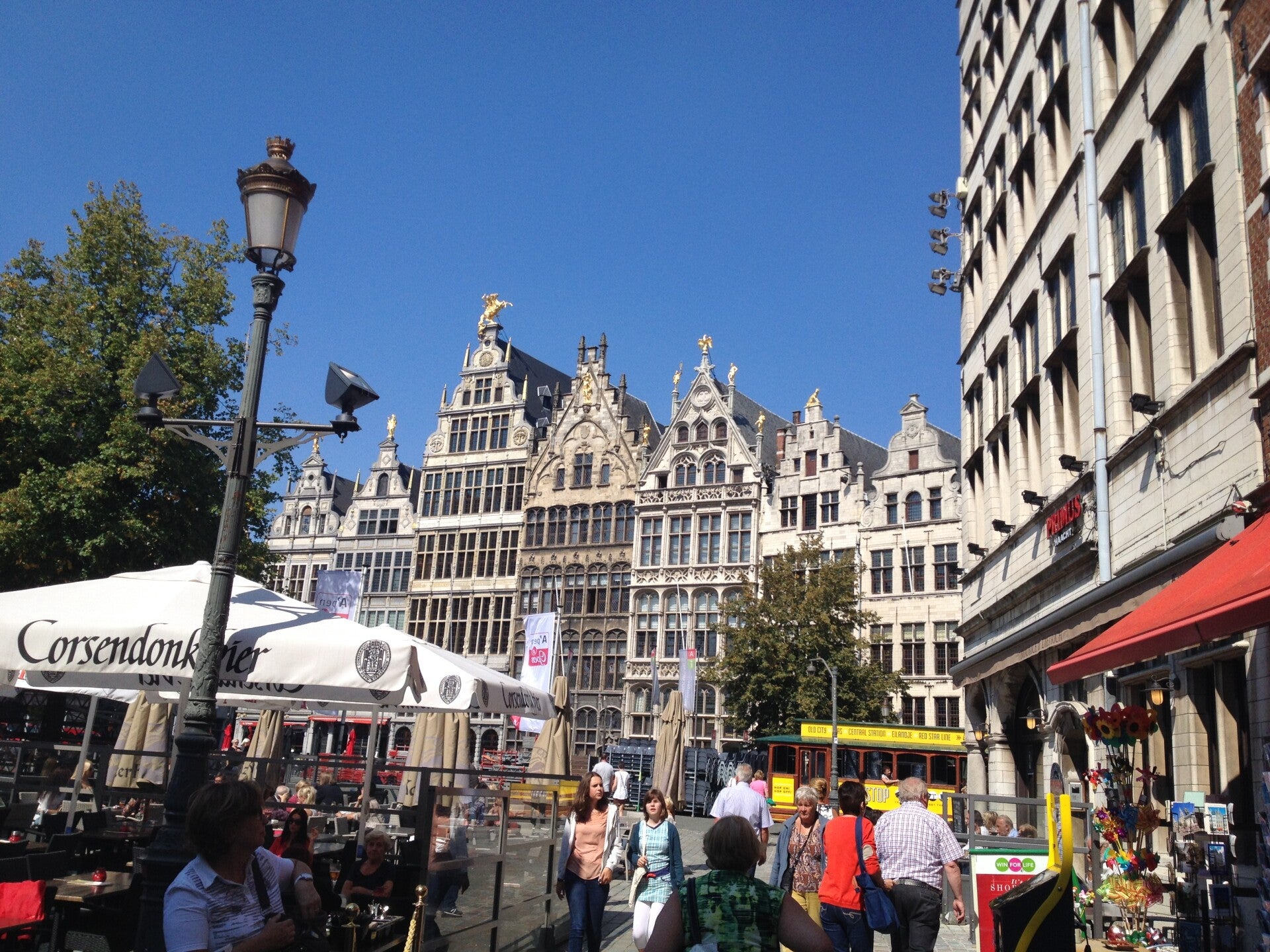Wilma de krom in Antwerpen