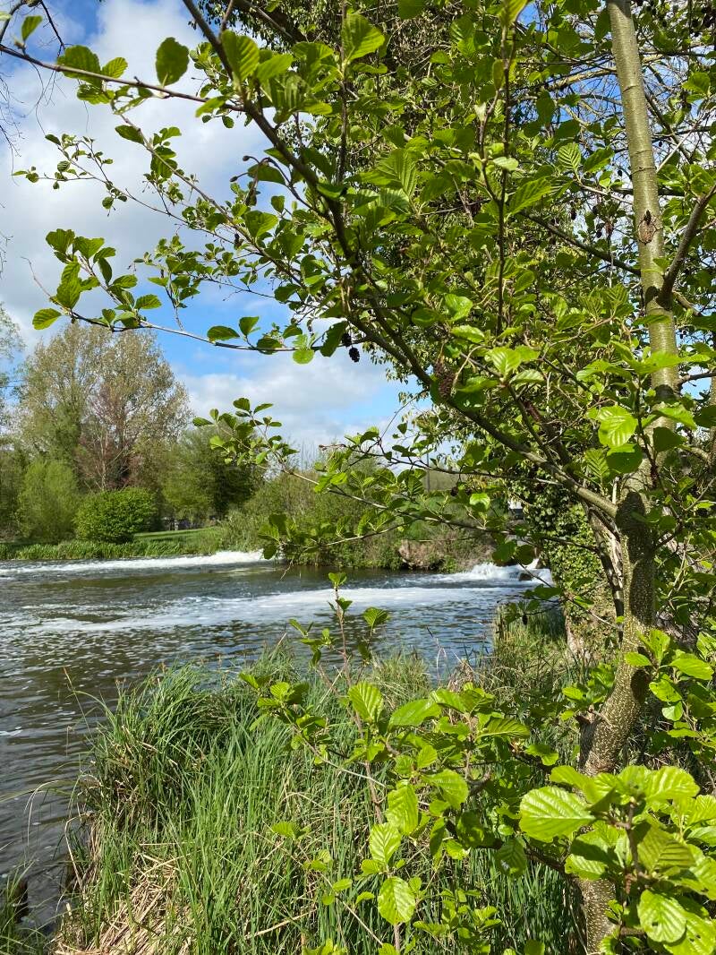 Wilma de Krom aan de Somme