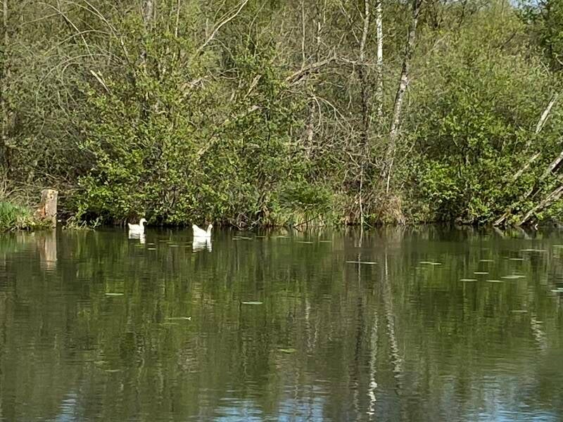 Wilma de Krom aan de Somme