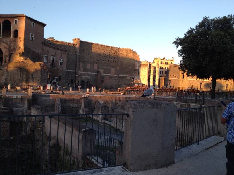 Wilma de Krom in Rome