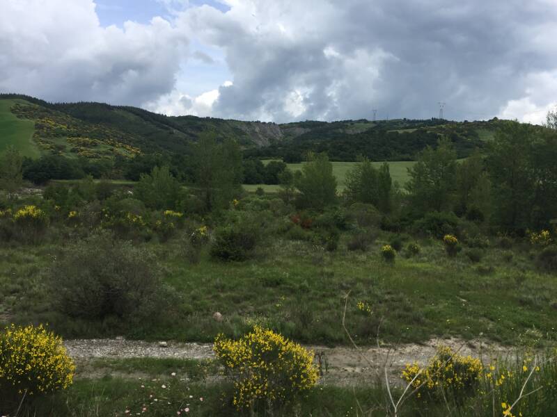Wilma de krom in Toscane