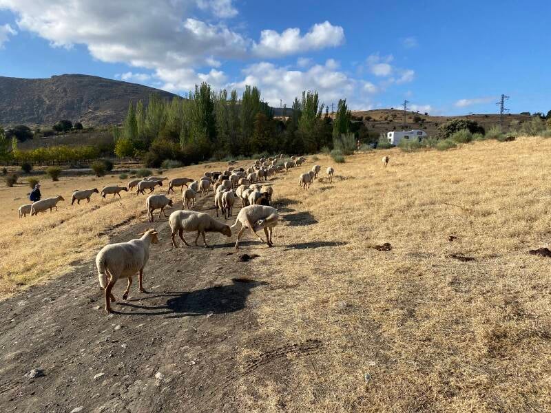 Wilma de Krom in Spanje