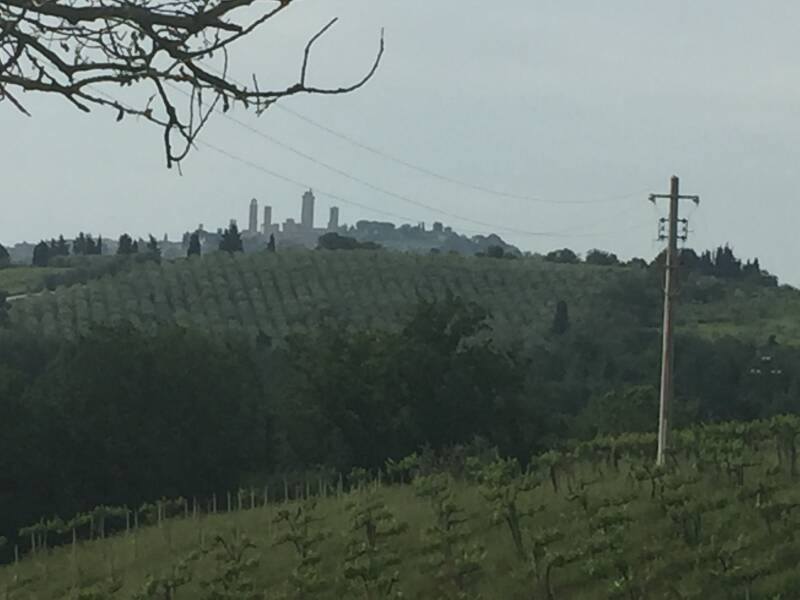 Wilma de krom in Toscane