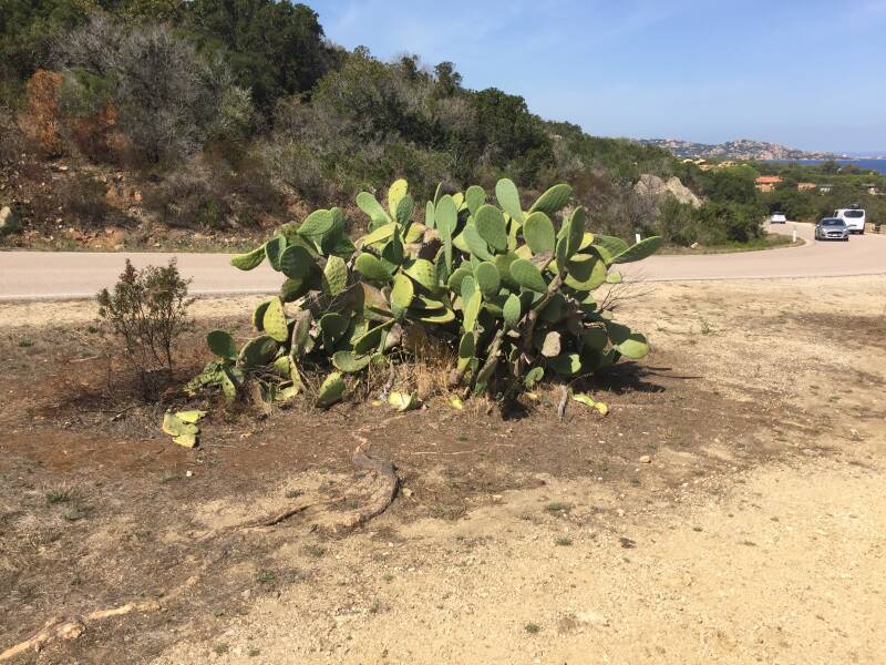 Wilma de Krom op Sardinie