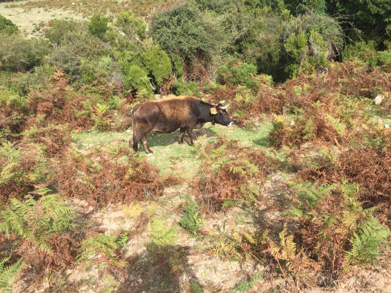 Wilma de Krom op Sardinie