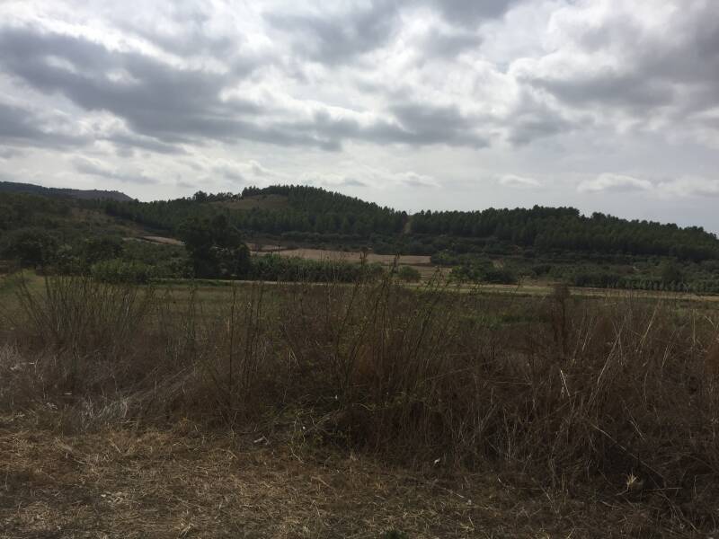 Wilma de Krom op Sardinie