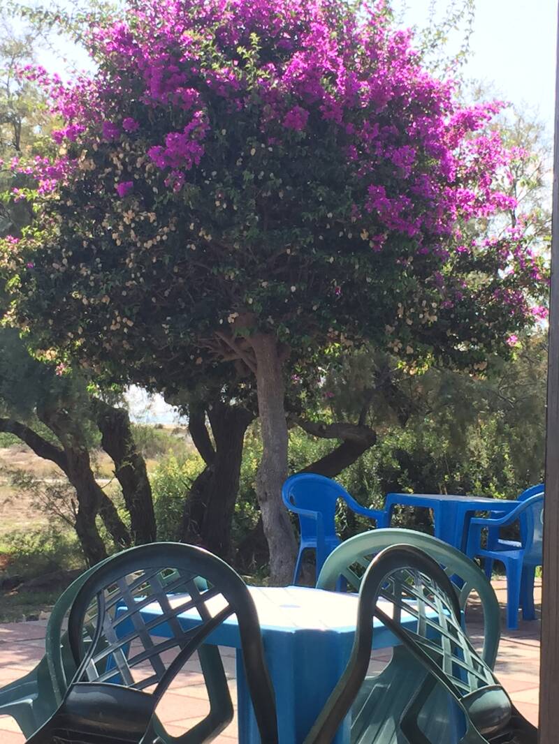 Wilma de Krom op Sardinie