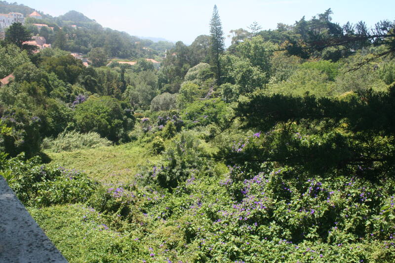 Wilma de Krom in Portugal