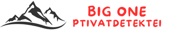 Big One Privatdetektei