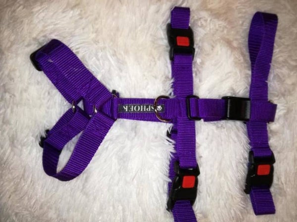 Anti escape tuig paars