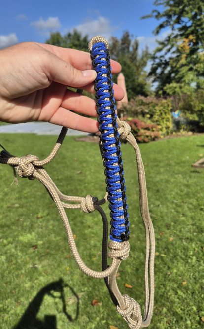 Licol COB prêt à partir