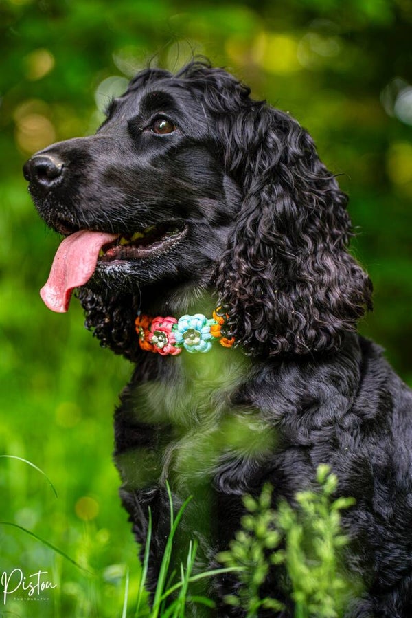 Collier fleurs