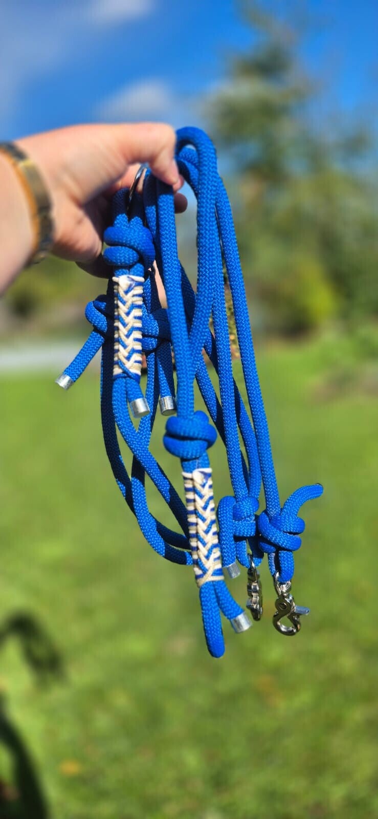 Laisse double prête à partir