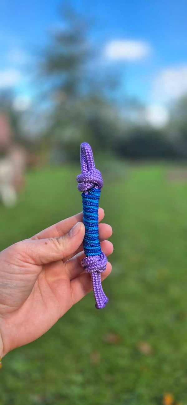Jeu petit chien