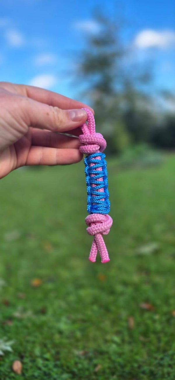 Jeu petit chien