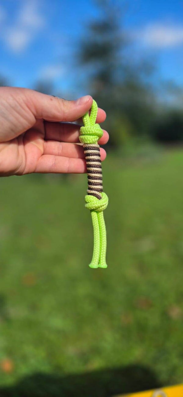 Jeu petit chien