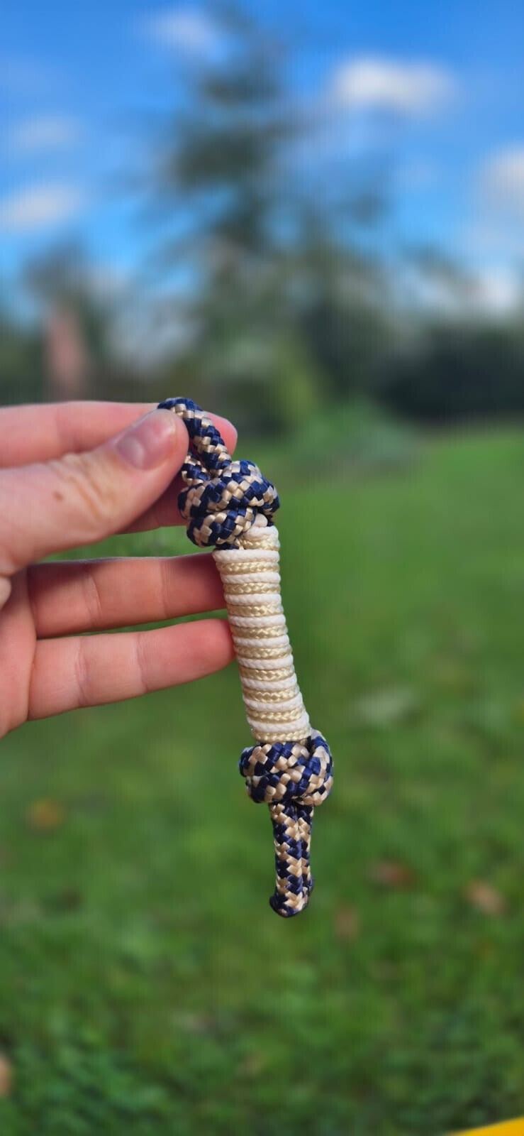 Jeu petit chien