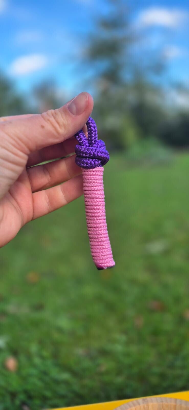 Jeu petit chien