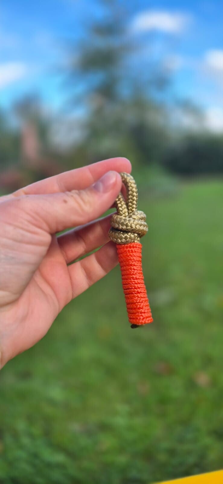 Jeu petit chien