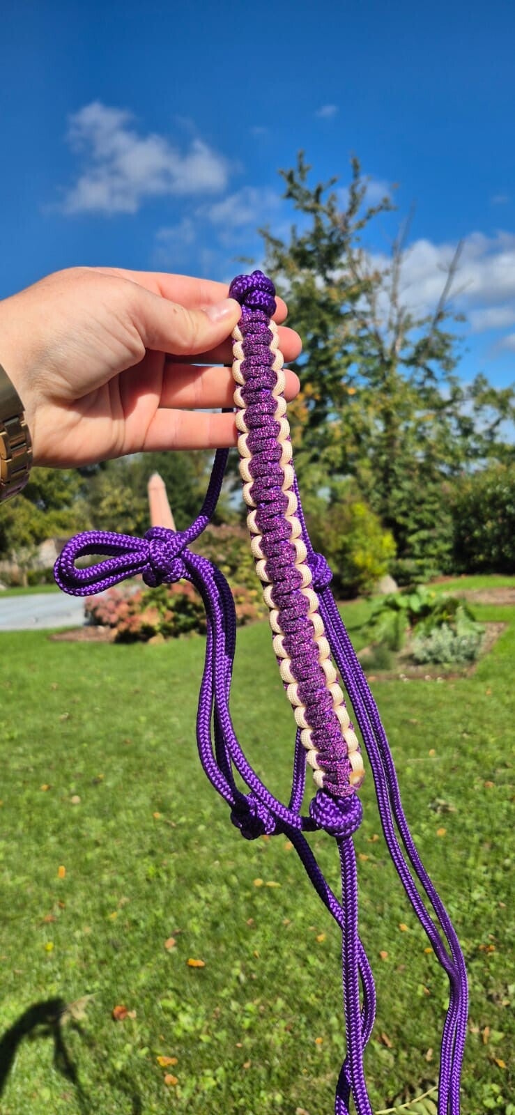 Licol COB prêt à partir