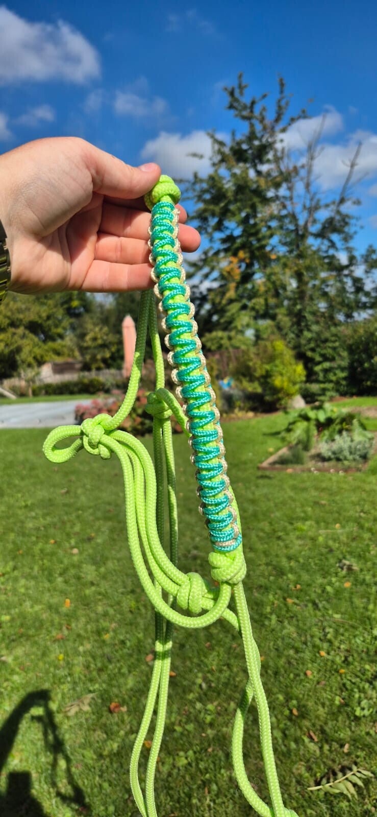 Licol COB prêt à partir
