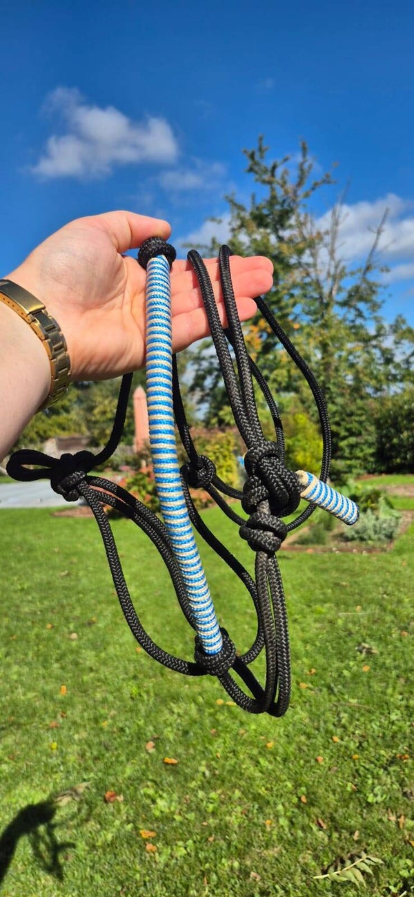 Licol COB prêt à partir