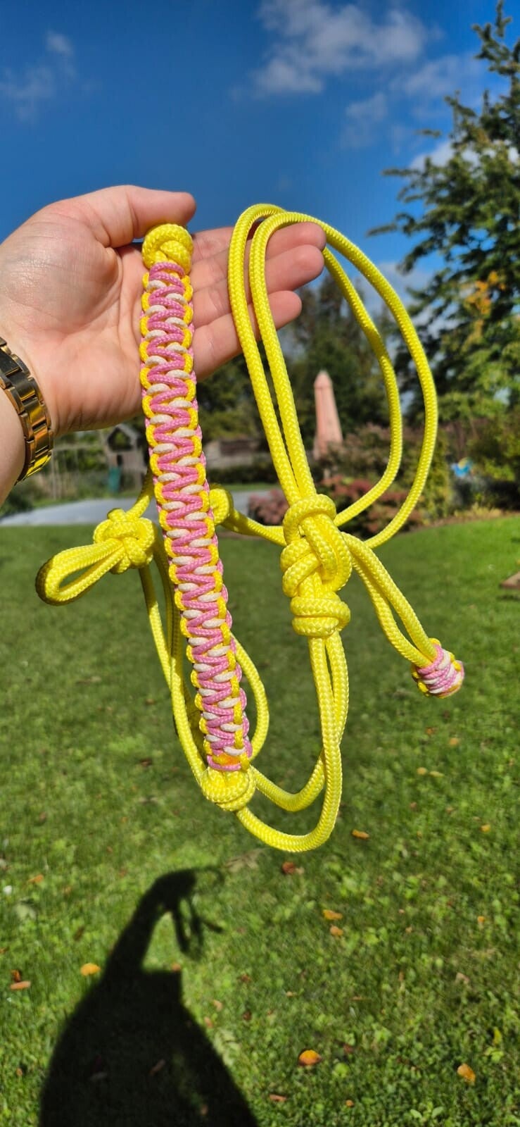 Licol COB prêt à partir