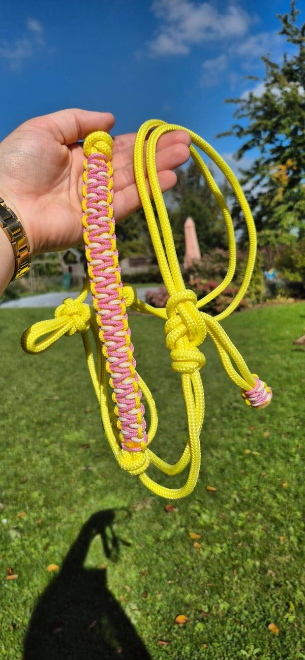 Licol COB prêt à partir